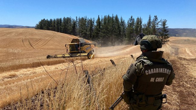 Ejército y Carabineros resguardarán cosechas en La Araucanía