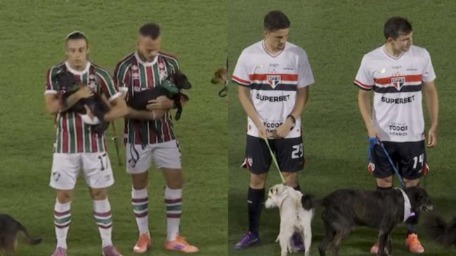 [VIDEO] Jugadores de Fluminense y Sao Paulo entraron con perritos a la cancha del Maracaná