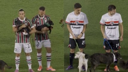   [VIDEO] Jugadores de Fluminense y Sao Paulo entraron con perritos a la cancha del Maracaná 