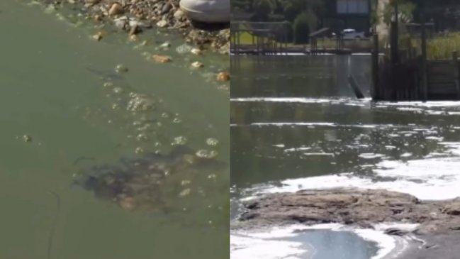 Diputado solicitó decretar emergencia sanitaria por contaminación en el Lago Vichuquén