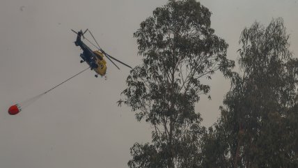   Incendio forestal en Melipilla fue controlado: 12 hectáreas consumidas 