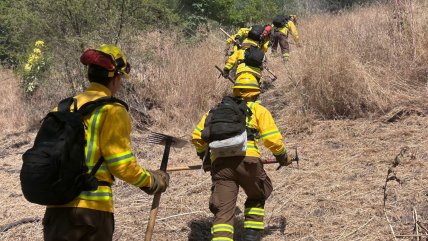   Gobierno despliega casi cinco mil kilómetros de cortafuegos para prevenir incendios forestales 
