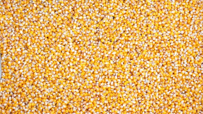 Argentina aplica nueva reducción de los derechos de exportación de granos