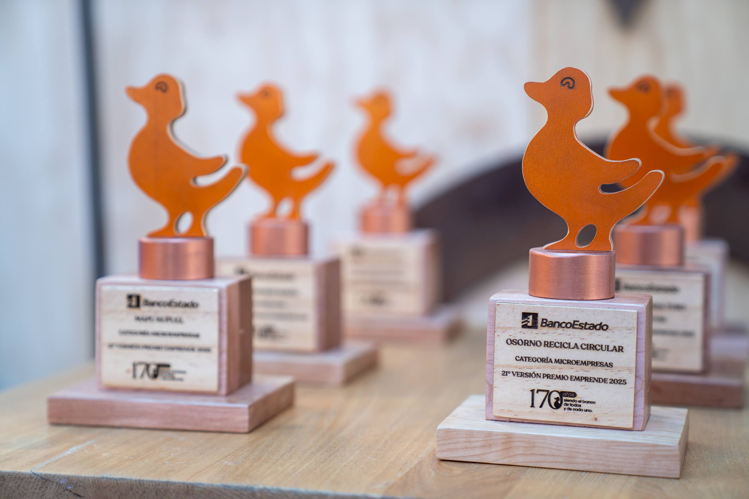 Imagen foto_00000003