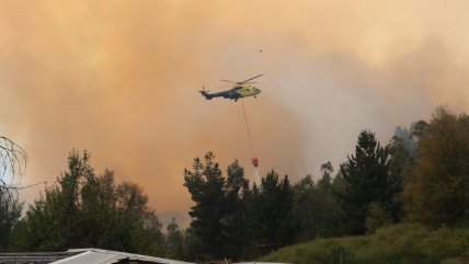 San Pedro: Incendio forestal consume cerca de 450 hectáreas