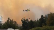 San Pedro: Incendio forestal consume cerca de 450 hectáreas