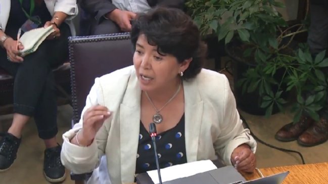 Provoste expresó reparos a ley de sala cuna: 