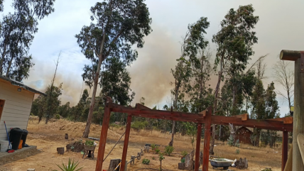 La Serena: Piden evacuar sector Población 18 de Septiembre avance de incendio forestal