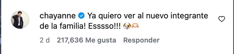 Pareja chilena decidió adoptar un perro gracias a Chayanne