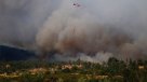 Senapred cifró en siete los incendios forestales 
