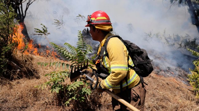 El combate de los incendios forestales a lo largo del país