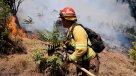 Declaran alerta amarilla en La Florida por incendio forestal
