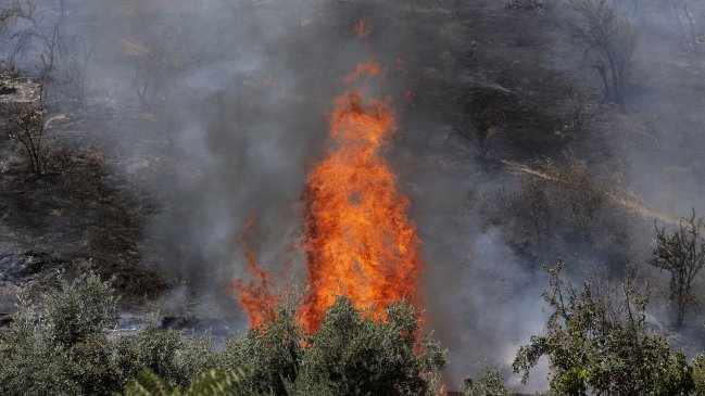 Senapred declaró alerta roja en Paine por avance de incendio forestal