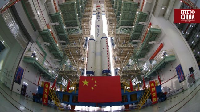 Ratona que viajó al espacio dio a luz a crías sanas tras su regreso