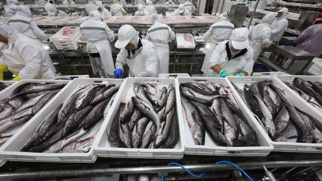 Industria pesquera expresa preocupación por nueva rebaja en cuota de merluza común