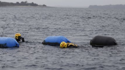   Puerto Varas: Buscan a joven de 19 años tras voltearse tabla en la que nadaba 