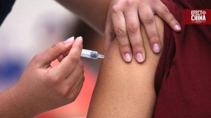   Chile renovó a Sinovac como proveedor exclusivo de vacunas contra la gripe en 2026 
