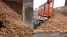 Bruselas: "Lluvia de papas" en protesta de agricultores contra acuerdo UE-Mercosur