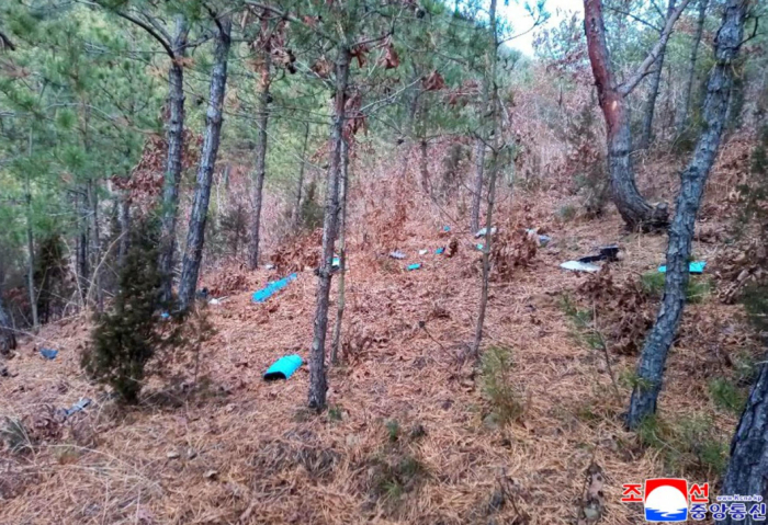 Imagen foto_00000013