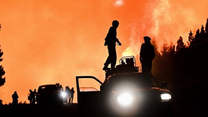   Ya van casi 12 mil hectáreas quemadas en la Patagonia argentina 