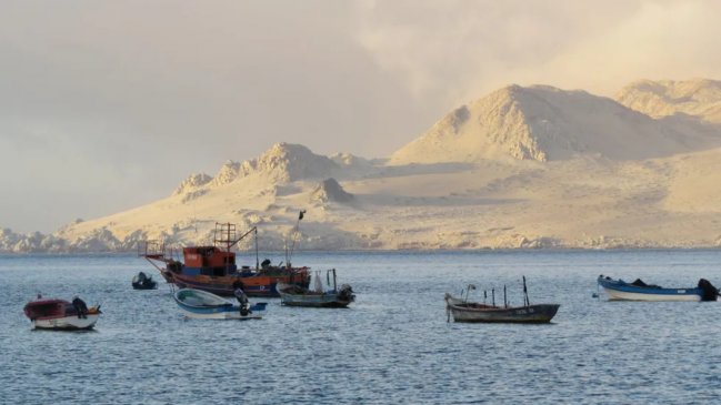 Histórico Tratado de Alta Mar entró en vigor para ofrecer más protección a los océanos