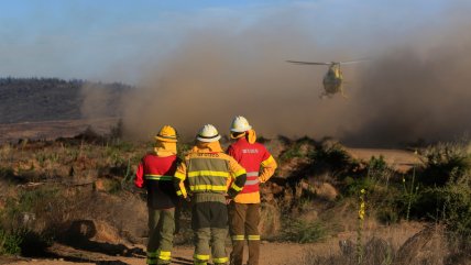 Ñuble: Avance de incendios forestales obliga a evacuar sectores en El Carmen y Coihueco