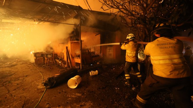 Gobierno aplicará ficha FIBE a afectados por incendios forestales en Ñuble y Biobío