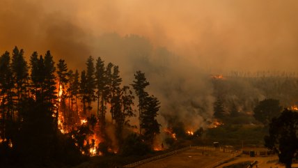  Más de 1.500 damnificados por incendios forestales en el Biobío y Ñuble  