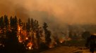 Más de 1.500 damnificados por incendios forestales en el Biobío y Ñuble