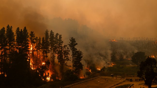 Detienen a sujeto acusado de iniciar incendio en Penco
