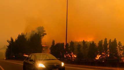 Tres alertas rojas por incendios forestales mantienen la preocupación en La Araucanía