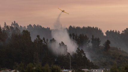 Meteorología advierte "pico de calor" en el sur y vientos de hasta 100 km/h