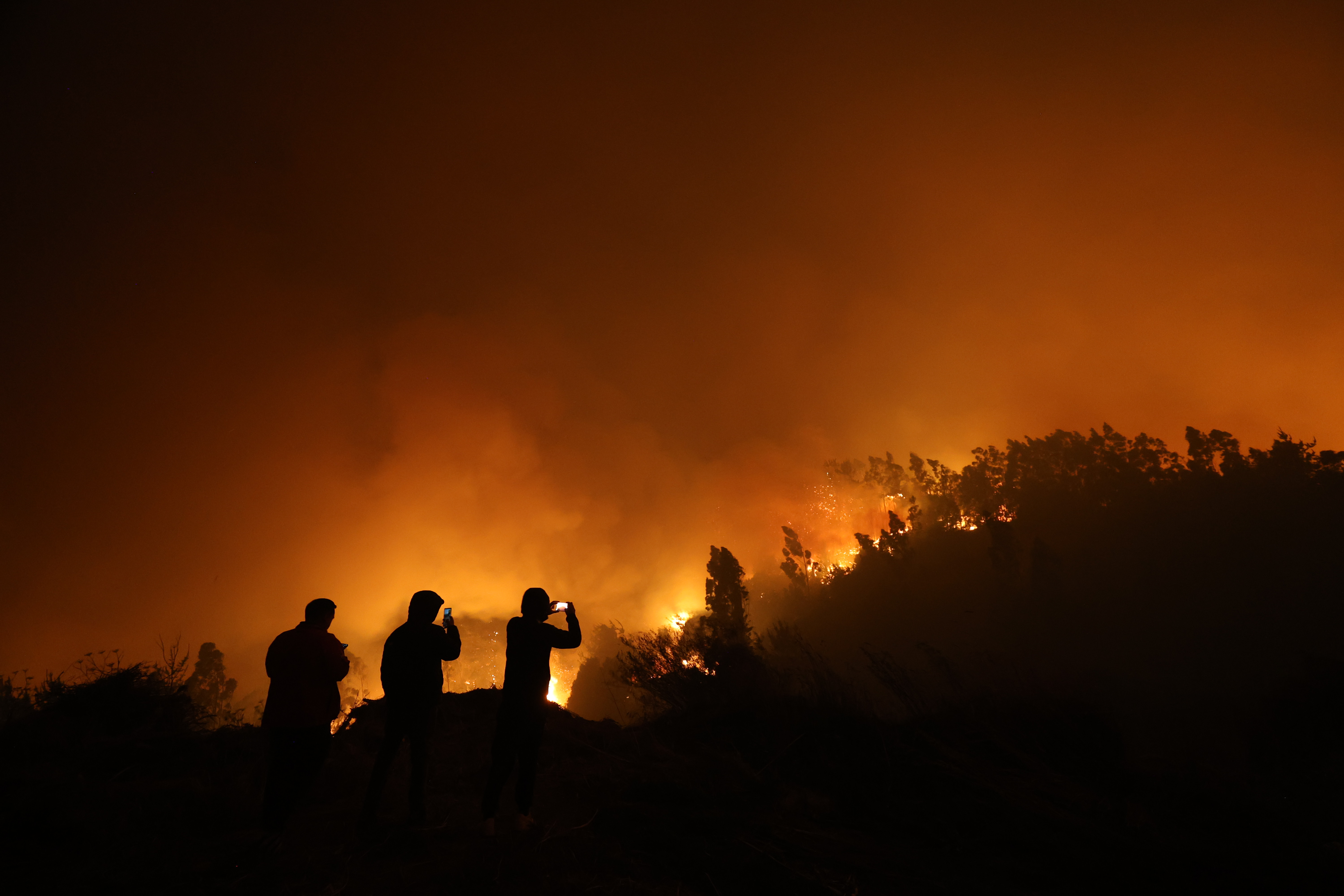 Imagen foto_00000005