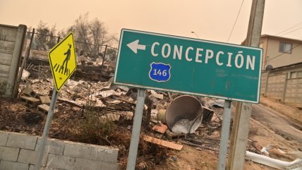 Gobernador del Biobío atribuye incendios a 