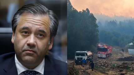   Diputado republicano: 