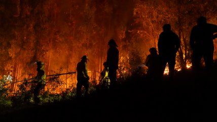 PDI detuvo a sospechoso de iniciar el megaincendio forestal de Concepción
