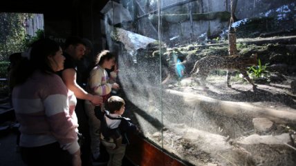 Zoológico Nacional reabre sus puertas de forma gratuita