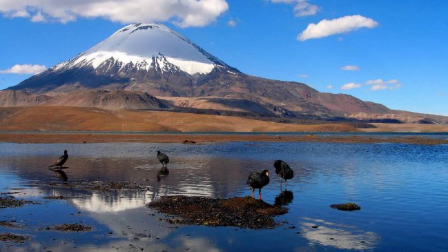 Lago Chungará avanza en su recuperación tras grave derrame de aceite