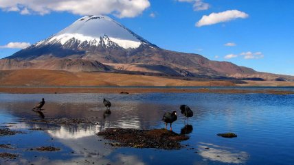 Lago Chungará avanza en su recuperación tras grave derrame de aceite