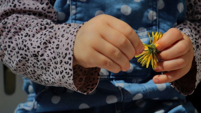 ONU urge a los países a actuar ante el auge de contenido sexual infantil generado con IA