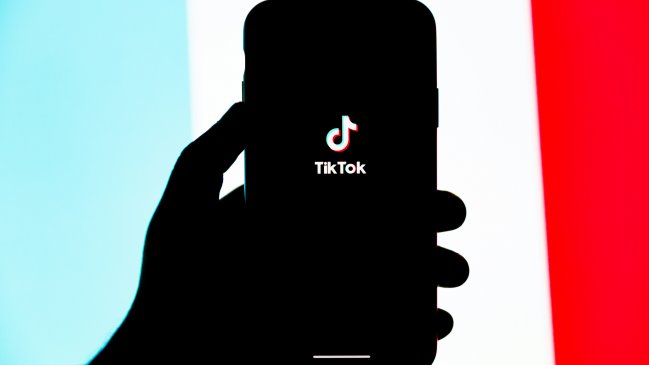 La UE acusó a TikTok de vulnerar la ley europea por su 
