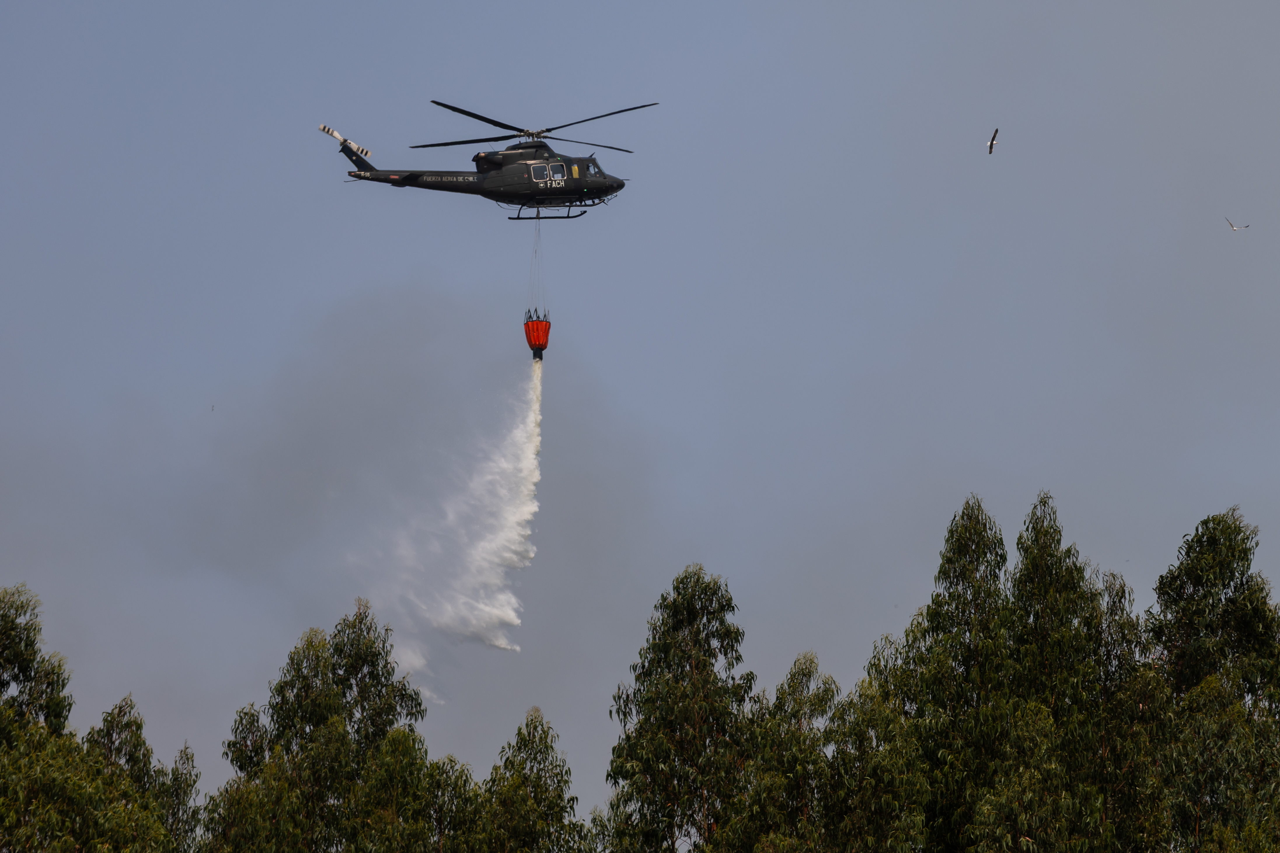 Imagen foto_00000003