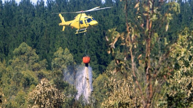 Cinco incendios forestales están en combate: La Región del Maule es la más afectada