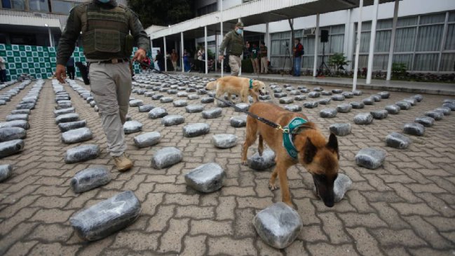 Carabineros incautó más de dos toneladas de droga en Antofagasta
