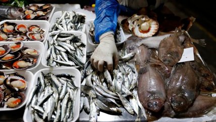 FAO advierte que uno de cada cinco pescados que se consumen en el mundo está mal etiquetado