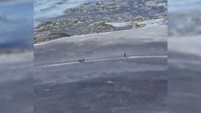 Final feliz: excursionistas desaparecidos en Pampa de Atacama fueron hallados con vida