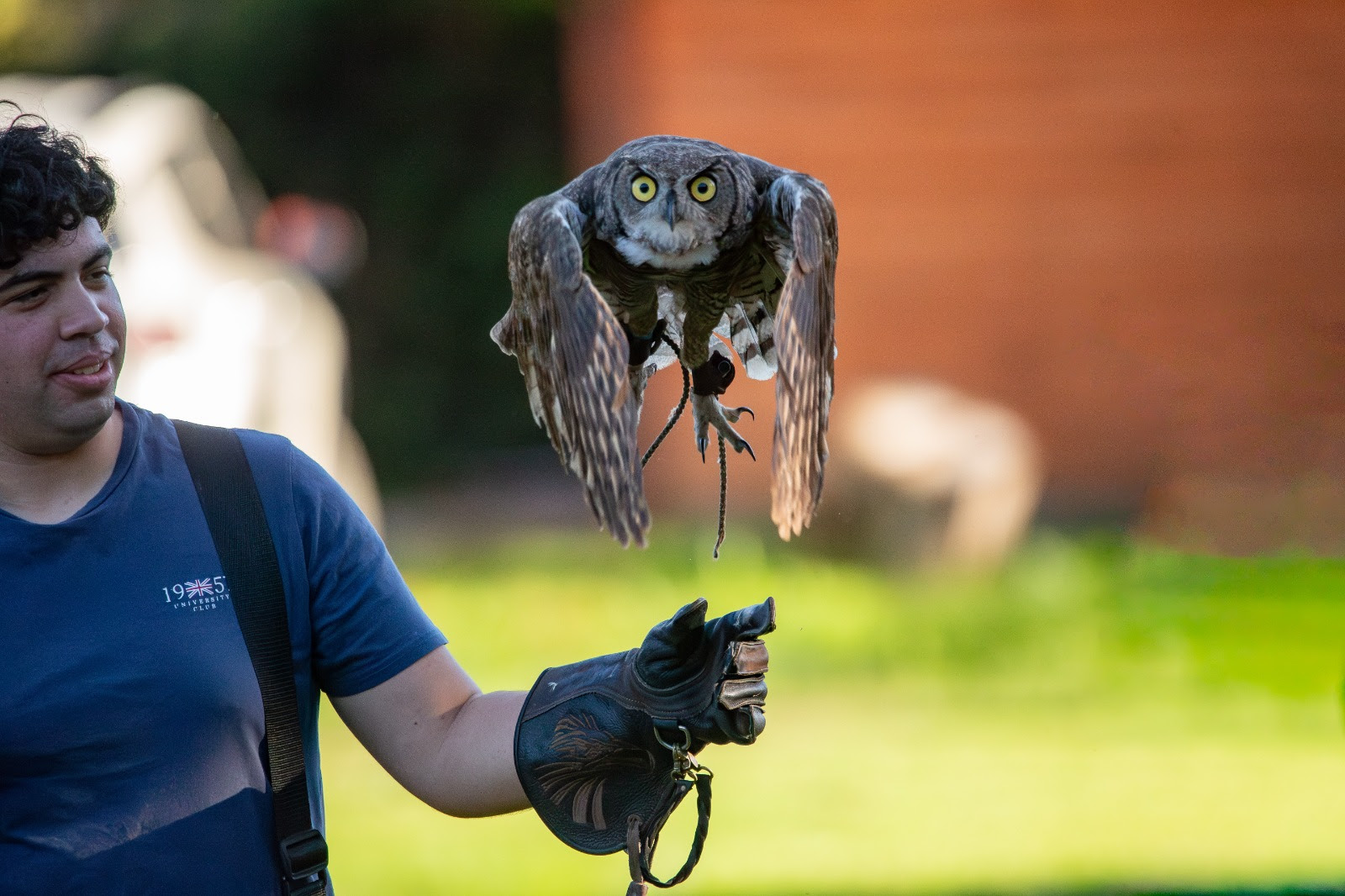 Imagen foto_00000004