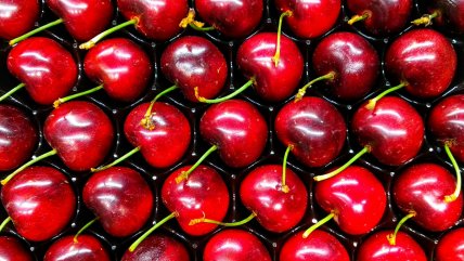 Desincronización entre la producción chilena y la demanda china complican la venta de cerezas