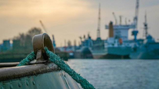 ONG denuncia sobreexplotación en la pesca de jibia y alerta impacto en Chile