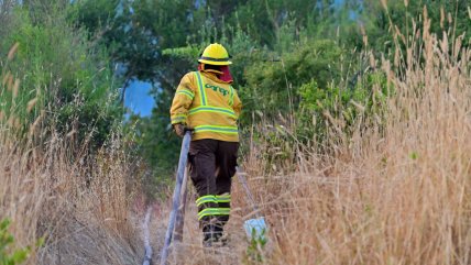 Alerta roja para Angol y Ercilla por avance de incendio forestal